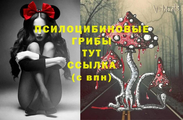 дживик Алзамай